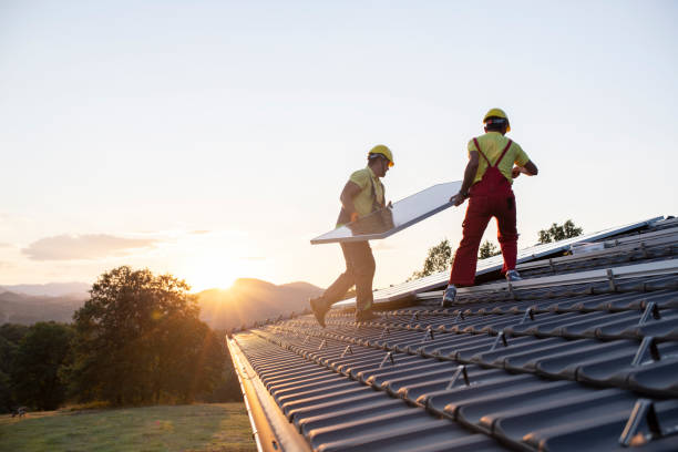 Best Roof Maintenance and Cleaning  in Morehead City, NC