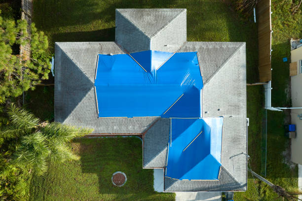 Best Roof Insulation Installation  in Morehead City, NC