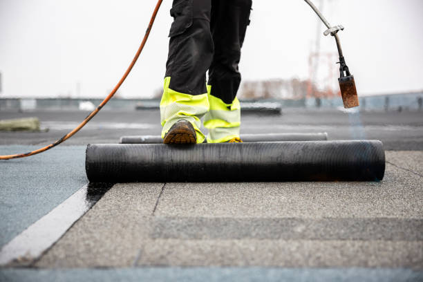 Best Roof Moss and Algae Removal  in Morehead City, NC