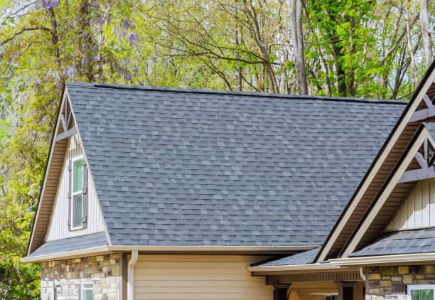 Best Roof Ventilation Installation  in Morehead City, NC